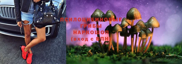 спайс Белокуриха