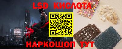 прущие грибы Пенза