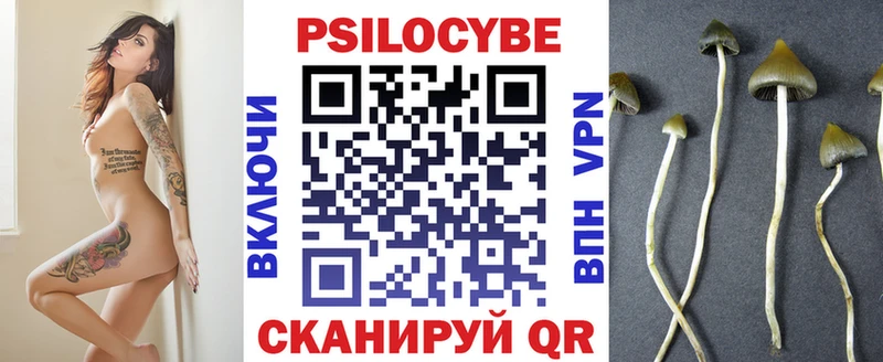 Купить где  Бирск  Галлюциногенные грибы Cubensis 