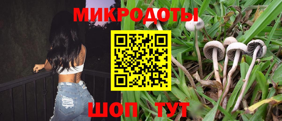 Псилоцибиновые грибы Cubensis Бирск