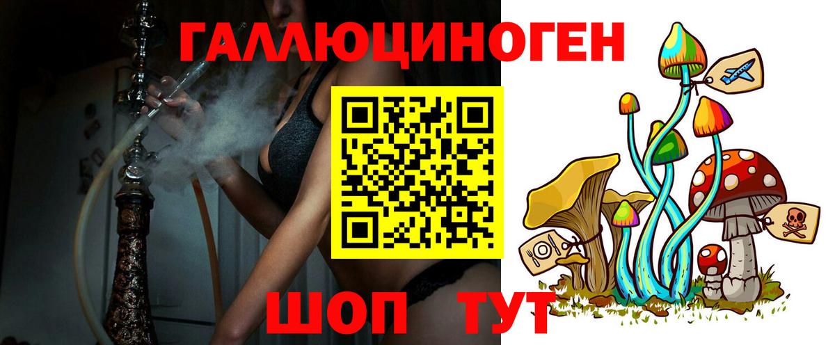 цена   Бирск  Галлюциногенные грибы MAGIC MUSHROOMS 